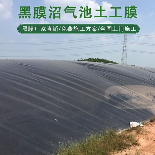 婁底HDPE土工膜 沼液池防滲土工膜 價格合理圖片