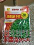 供应特高产榨油观赏绿化郑杂油1号、油菜花籽种子易活种植耐寒旱