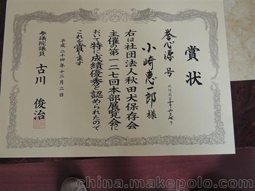秋田犬 巨洲犬舍 蘇州秋田犬圖片