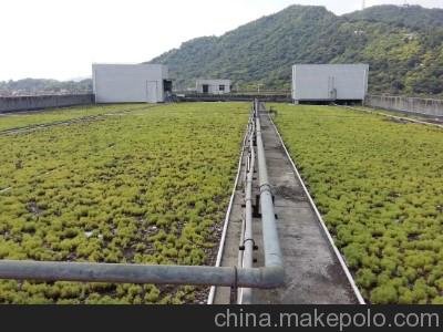 南充苗木花卉西安樓頂綠化屋頂防曬隔熱  陜西安防水材料圖片