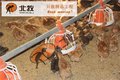 肉鸡养殖料线、水线 高品质养鸡料线 山东北牧机械