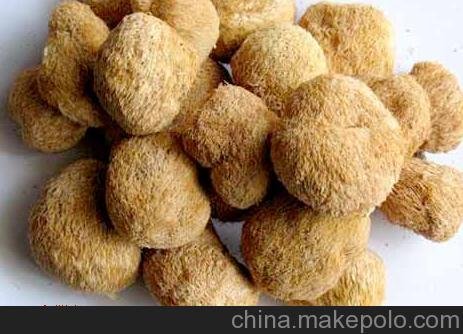土鱉網(wǎng)食用菌猴頭菇：林芝特產(chǎn)養胃猴頭菇功效圖片