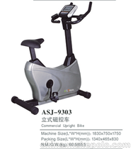 奥圣嘉ASJ-9303立式磁控车