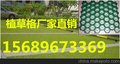 供应厂家直销2016新型HDPE塑料植草格，规格齐全