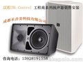 成都 RdB PR-310 8寸会议室音箱 话筒功放调音台销售安装销售