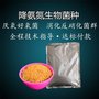 河北耐盐菌种生物降解污泥有机废水处理菌