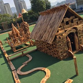 廣東廣州幼兒園科學(xué)教案電子積木