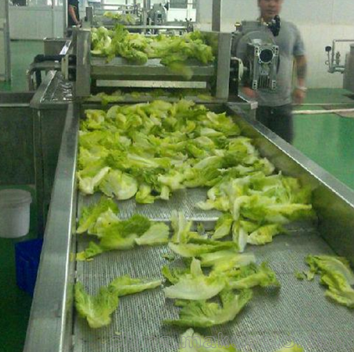 鼎鴻油菜清洗機(jī) 菠菜清洗流水線(xiàn) 酸菜脫鹽清洗機(jī)圖片