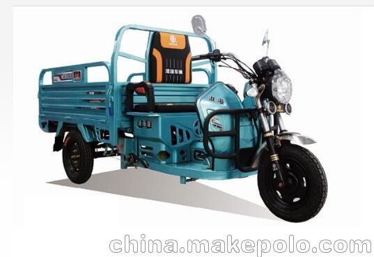臺(tái)灣省淮海電動(dòng)車  淮海 征途G10 三輪電動(dòng)車圖片