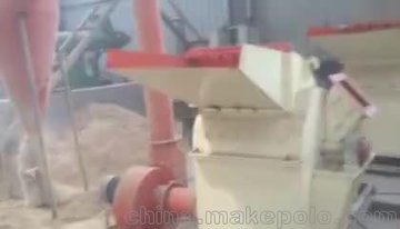 小树枝粉碎机生产厂家-木材锯末粉碎机-荥阳市国赢机械设备公司