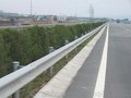 道路护栏高速防撞护栏梁板双波护栏