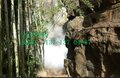 河源(《园林景观造雾《造雾设备》
