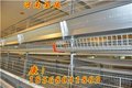 金凤金凤养鸡设备诸城市宏越机械
