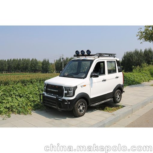 新能源油電 兩用老年代步車(chē) 五門(mén)四座全封閉4人電瓶轎車(chē)圖片