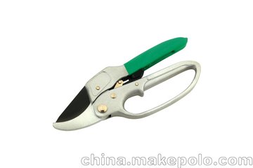 @ֹߣ֦