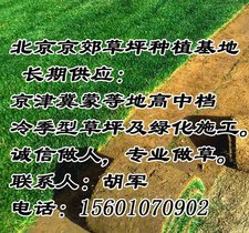 YN۲ƺ ԴuƤ  GƤ ǹ@С^(q) ƺƤ