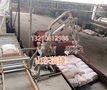 全自动装车机：现代化物流效率升级的优选方案