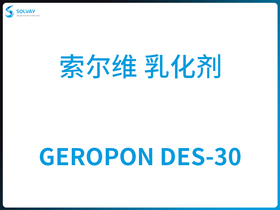 GEROPON DES-30 S 黯