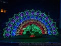 玉林-灯光节出售_灯光节租售热线:13635009401
