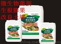 微生物菌肥价格 圣吉尔金捷克菌肥 生根养根保根膨果