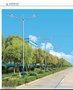 厂家直销  广东中山  太阳能路灯 LED路灯 庭院灯 道路照明灯