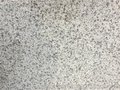 随州白麻花岗岩中细花光面