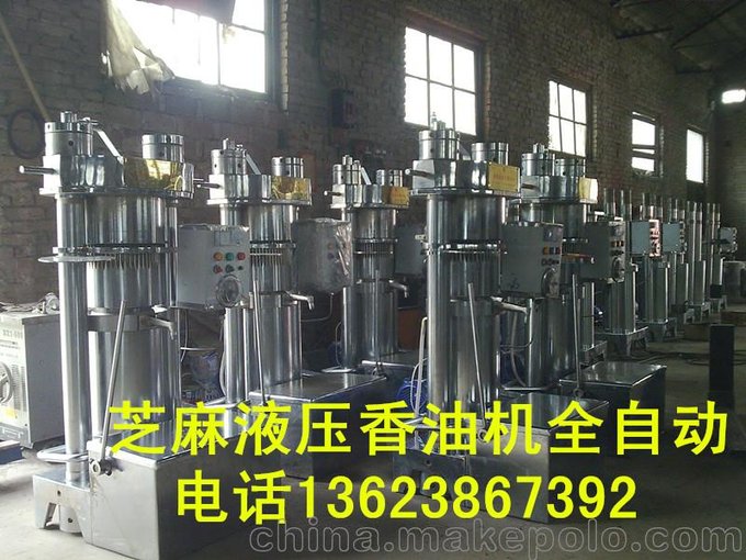 10公斤液壓芝麻榨油機(jī)，專業(yè)生產(chǎn)廠家，智能全自動(dòng)緩沖榨油王圖片