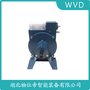 LY1-1X/750超速開關(guān) WVD
