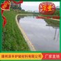 厂家直销 工程专用绿化生态袋 植生袋