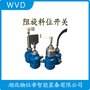 SE120BGOB0250阻旋開關(guān)料位計(jì) WVD