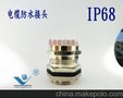 电缆接头 不锈钢连接器 电缆防水接头  赛格瑞科技供应