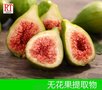 英国花臣 无花果提取物963011201