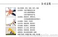 美缝剂 美缝胶 真瓷胶 瓷砖粘结剂 瓷砖胶 粘合剂 填缝剂