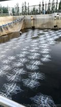 管式曝氣改造現場(chǎng)