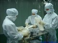 嘉兴PE微发泡材料，缓冲垫片复合层用发泡膜，纬昌低发泡