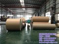 淋膜封头纸工厂 东科纸业