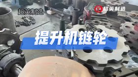 NE斗提機 鏈輪生產(chǎn)廠家 提升機專用配件 斗提機型號