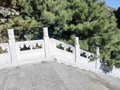 河北草白玉栏杆雕刻加工厂-草白玉石栏杆批发定制基地
