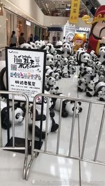 熊猫展览出租*熊猫乐园出租