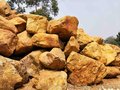 自产自销景观石 黄蜡石 园林假山 自然原石 驳岸溪滩 现货 英德石