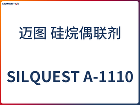 Ʒ SILQUEST A-1110 ż(lin) ~D