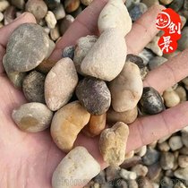 广东鹅卵石批发基地 番禺鹅卵石厂家 污水处理鹅卵石