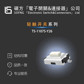 ᴥ-TS-1107SƬʽСᴥأʲɶƣ