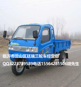 供應(yīng)時風(fēng)牌自卸三輪汽車報價圖片