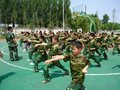 温州西点教育夏令营活动供应商