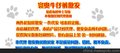 韩版男式牛仔裤修身牛仔裤男装厂家批发定做