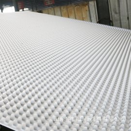 厂家供应塑料排水板 车库地下室顶板凹凸排水板 屋顶绿化排水板