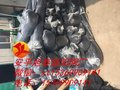 盖土网 防尘网 厂家直销 可批发定制 火爆销售中