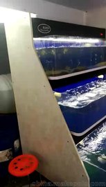 【元孚】移动海鲜缸酒店超市鱼池海鲜池冰鲜贝类台