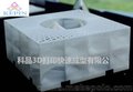 东莞 科品 3D打印工艺摆饰模型定制加工 SLA 树脂 工业级 手板